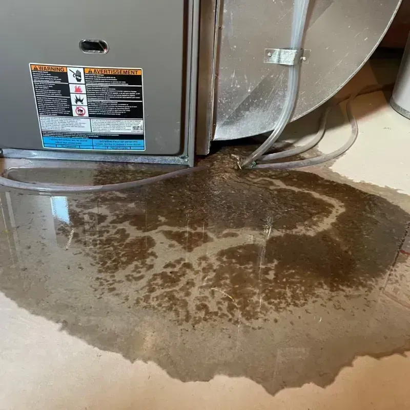 Appliance Leak Cleanup in Monongah, WV